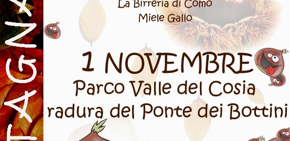 Castagnata 1 Novembre 2014 – 3° Festa nel Parco Valle Cosia – PVC